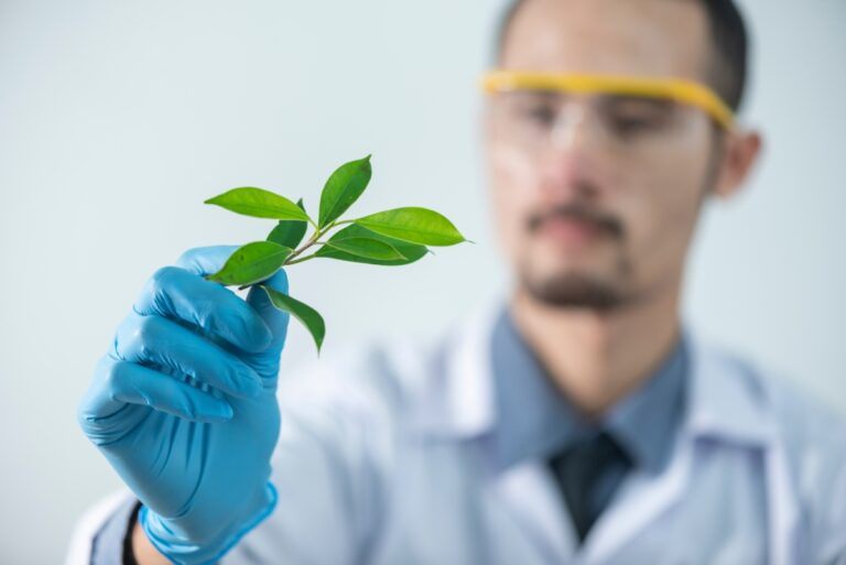 a doctor looking at a plant leaf